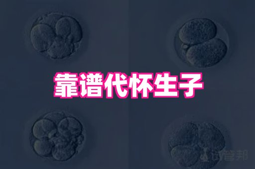 试管助孕网站 3